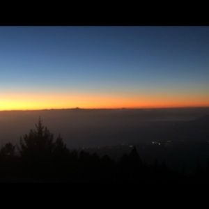 Meet your Posher, Sean michael